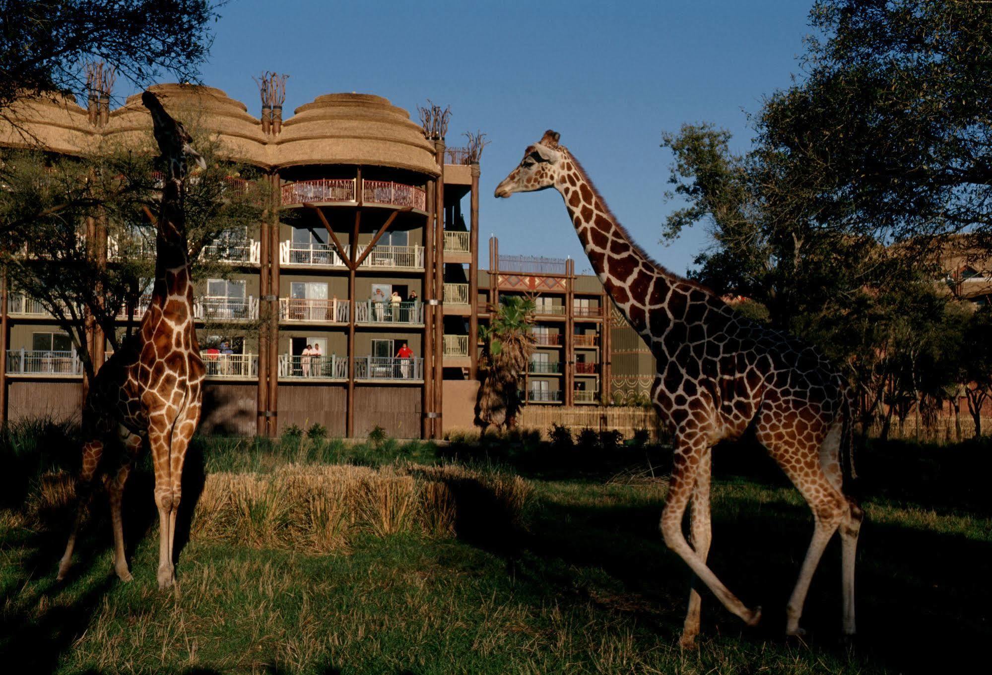 Disney'S Animal Kingdom Villas - Kidani Village Lake Buena Vista Esterno foto